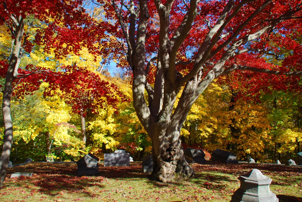 DSC_4685.JPG